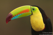 COSTA RICA